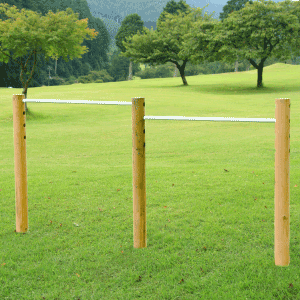 二人用　木製ブランコ